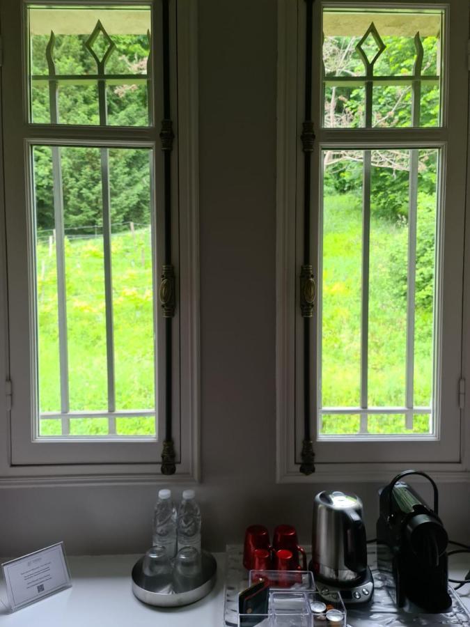 Chateau De Courtebotte Gasthof
