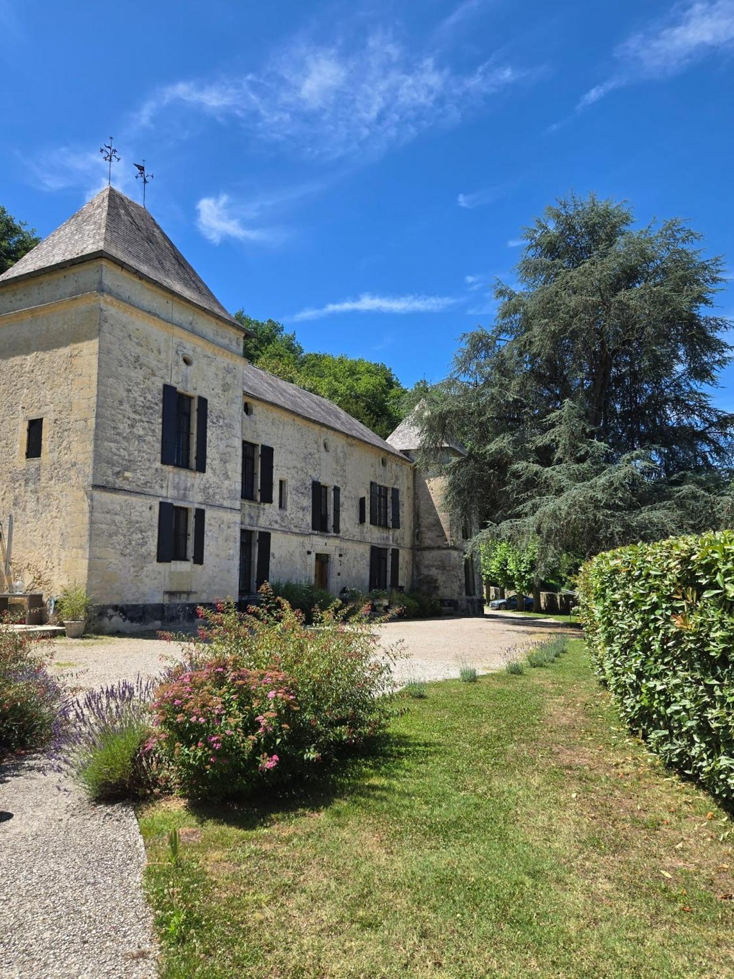 Château De Courtebotte Saint-Jean-de-Blaignac